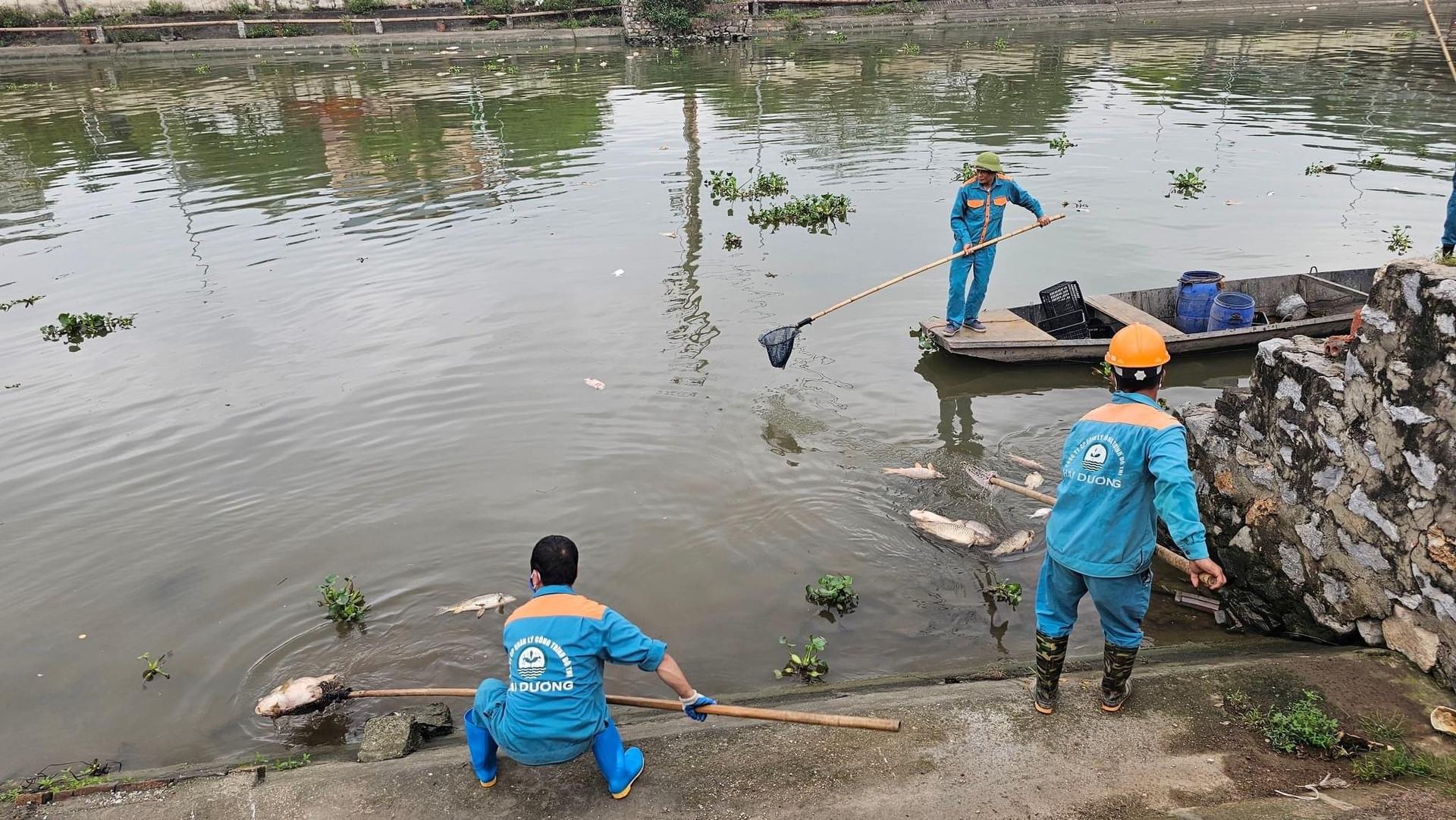 Thông tin tiếp về tình trạng cá chết ở Hải Dương: Đã xác định được nguyên nhân Thông tin tiếp về tình trạng cá chết ở Hải Dương: Đã xác định được nguyên nhân