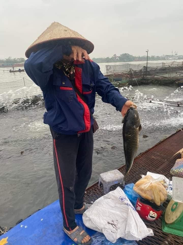 Thông tin tiếp về tình trạng cá chết ở Hải Dương: Đã xác định được nguyên nhân Thông tin tiếp về tình trạng cá chết ở Hải Dương: Đã xác định được nguyên nhân