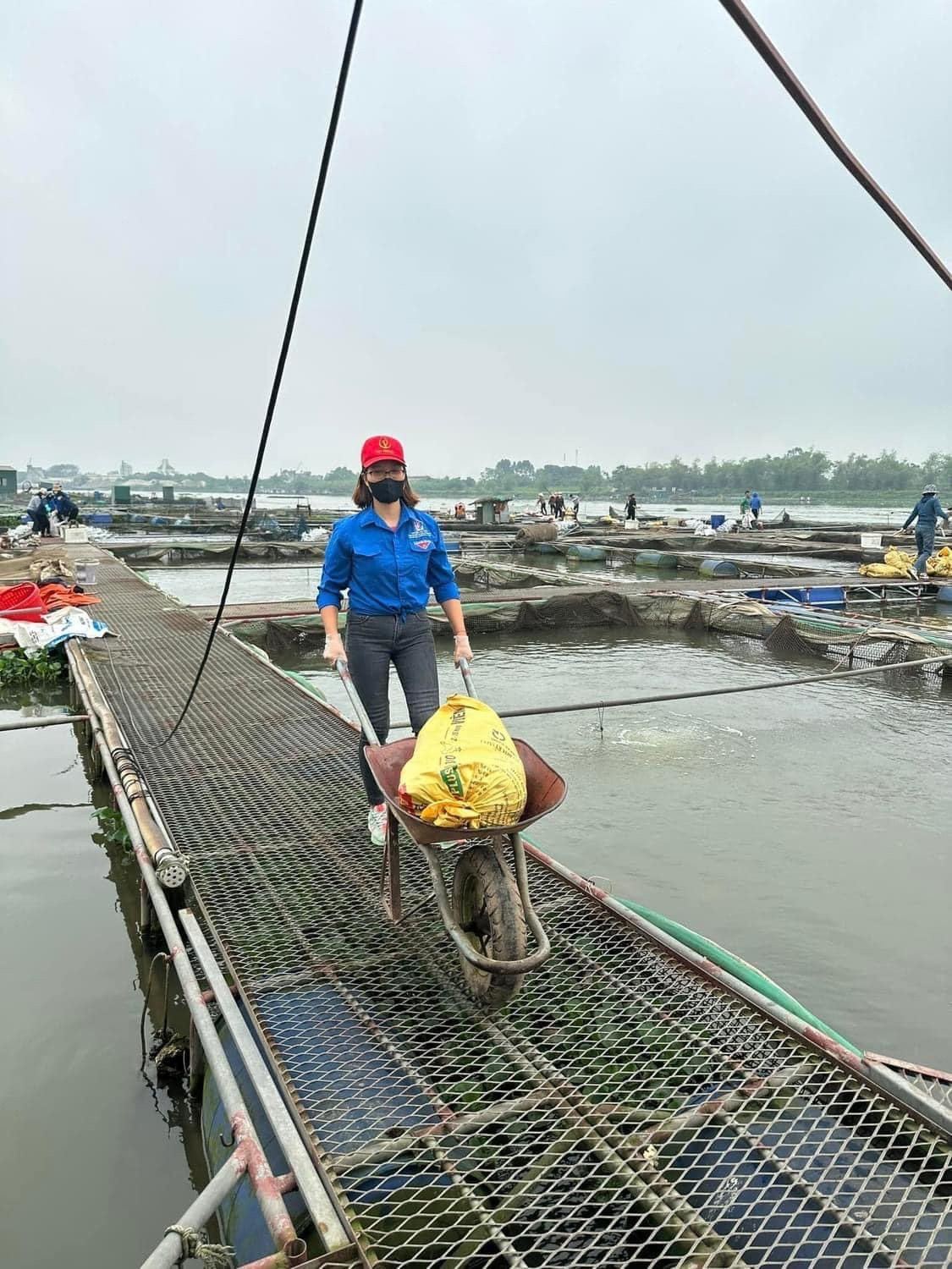 Thông tin tiếp về tình trạng cá chết ở Hải Dương: Đã xác định được nguyên nhân Thông tin tiếp về tình trạng cá chết ở Hải Dương: Đã xác định được nguyên nhân