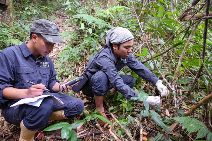 Thúc đẩy hợp tác quốc tế trong bảo tồn đa dạng sinh học