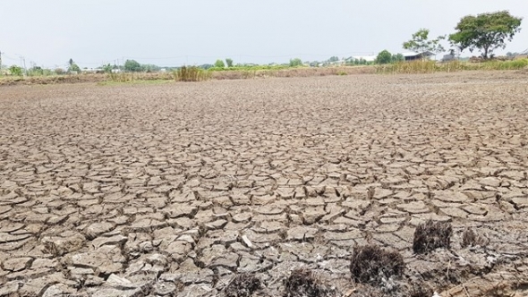 Xâm nhập mặn có khả năng đã qua đỉnh điểm