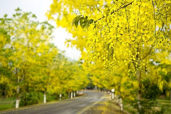 Tử vi 12 con giáp ngày 24/4/2024: Tuổi Tý gặp khó khăn, tuổi Tỵ lạc quan Tử vi 12 con giáp ngày 24/4/2024: Tuổi Tý gặp khó khăn, tuổi Tỵ lạc quan