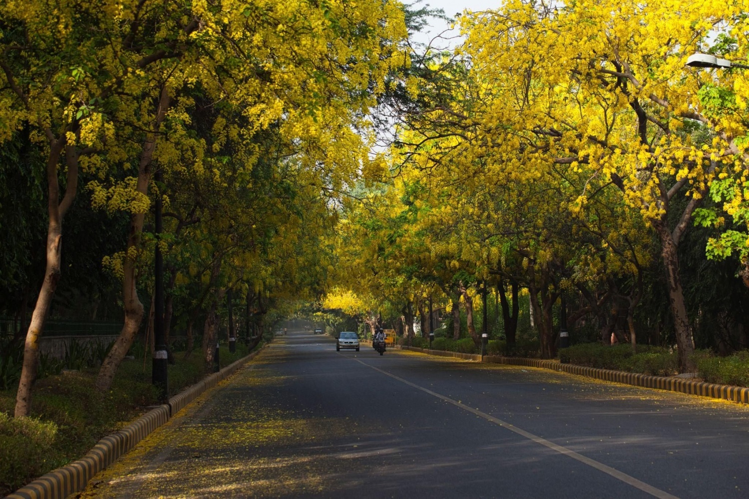 Tử vi 12 con giáp ngày 24/4/2024: Tuổi Tý gặp khó khăn, tuổi Tỵ lạc quan Tử vi 12 con giáp ngày 24/4/2024: Tuổi Tý gặp khó khăn, tuổi Tỵ lạc quan