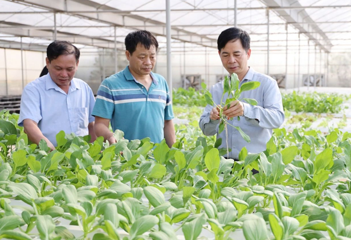 Phát triển KHCN, chuyển đổi số là con đường đưa đất nước phát triển nhanh, bền vững Phát triển KHCN, chuyển đổi số là con đường đưa đất nước phát triển nhanh, bền vững