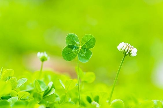 Tử vi vòng quay công nghệ ngày 4/4/2025: Tuổi Mão bấp bênh, tuổi Thân cực may mắn Tử vi vòng quay công nghệ ngày 4/4/2025: Tuổi Mão bấp bênh, tuổi Thân cực may mắn