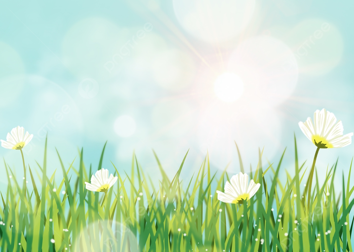 Tử vi vòng quay công nghệ ngày 5/4/2025: Tuổi Thân bất đồng quan điểm, tuổi Mão an nhàn Tử vi vòng quay công nghệ ngày 5/4/2025: Tuổi Thân bất đồng quan điểm, tuổi Mão an nhàn