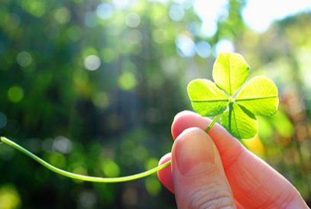 Tử vi vòng quay công nghệ ngày 7/4/2025: Tuổi Sửu thiếu sự nhẫn nhịn, tuổi Hợi được khen thưởng Tử vi vòng quay công nghệ ngày 7/4/2025: Tuổi Sửu thiếu sự nhẫn nhịn, tuổi Hợi được khen thưởng