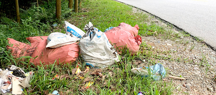 Xử lý nghiêm hành vi vứt xác động vật chết làm lây lan dịch bệnh, ô nhiễm môi trường Xử lý nghiêm hành vi vứt xác động vật chết làm lây lan dịch bệnh, ô nhiễm môi trường