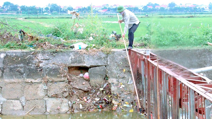 Xử lý nghiêm hành vi vứt xác động vật chết làm lây lan dịch bệnh, ô nhiễm môi trường
