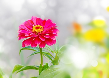 Tử vi vòng quay công nghệ ngày 8/4/2025: Tuổi Tý chịu áp lực, tuổi Tỵ nhiều niềm vui Tử vi vòng quay công nghệ ngày 8/4/2025: Tuổi Tý chịu áp lực, tuổi Tỵ nhiều niềm vui