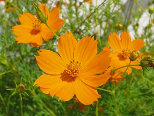 Tử vi vòng quay công nghệ ngày 9/4/2025: Tuổi Dần gặp trục trặc, tuổi Thìn suôn sẻ thuận lợi Tử vi vòng quay công nghệ ngày 9/4/2025: Tuổi Dần gặp trục trặc, tuổi Thìn suôn sẻ thuận lợi