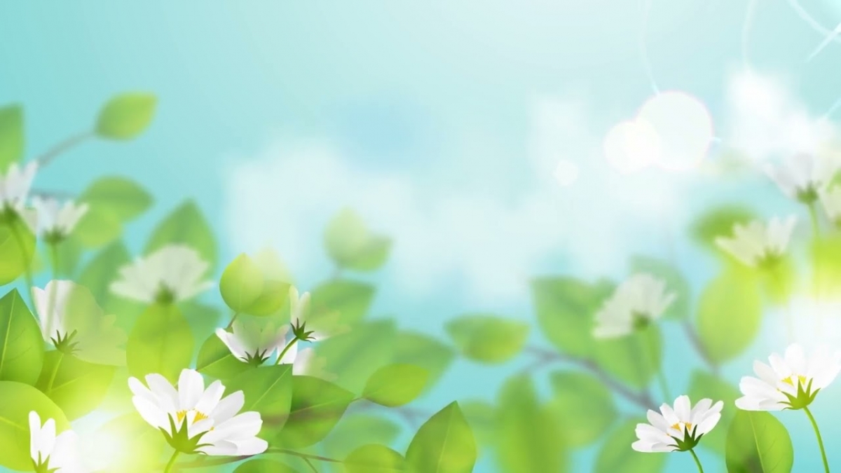 Tử vi vòng quay công nghệ ngày 9/4/2025: Tuổi Dần gặp trục trặc, tuổi Thìn suôn sẻ thuận lợi Tử vi vòng quay công nghệ ngày 9/4/2025: Tuổi Dần gặp trục trặc, tuổi Thìn suôn sẻ thuận lợi