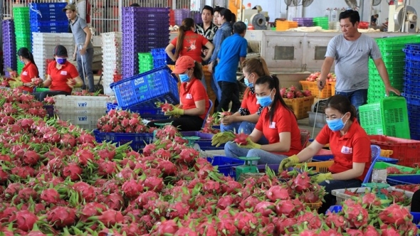 Xuất khẩu nông, lâm, thủy sản hướng tới mục tiêu đạt 65 tỷ USD