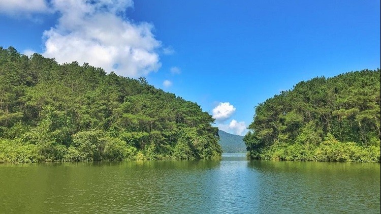 Bảo vệ nguồn nước mặt, ngăn chặn nguy cơ ô nhiễm