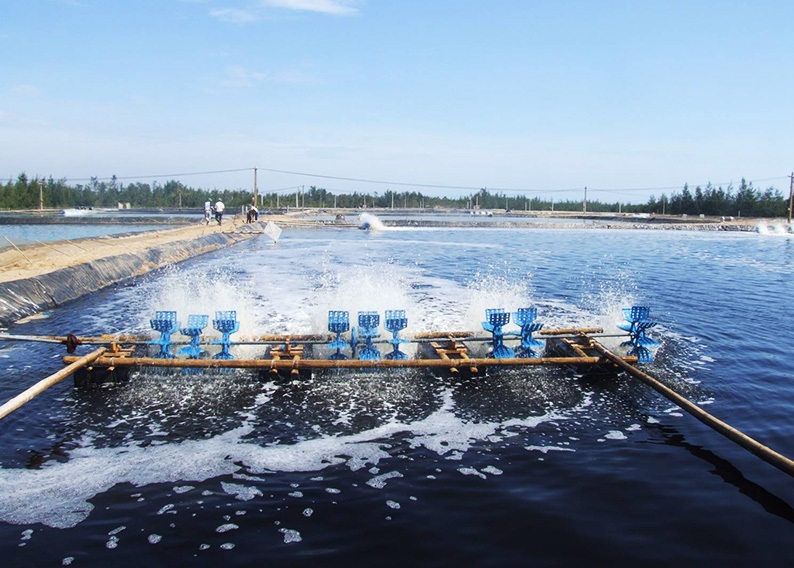 Sóc Trăng phòng ngừa ô nhiễm trong nuôi trồng thủy sản Sóc Trăng phòng ngừa ô nhiễm trong nuôi trồng thủy sản