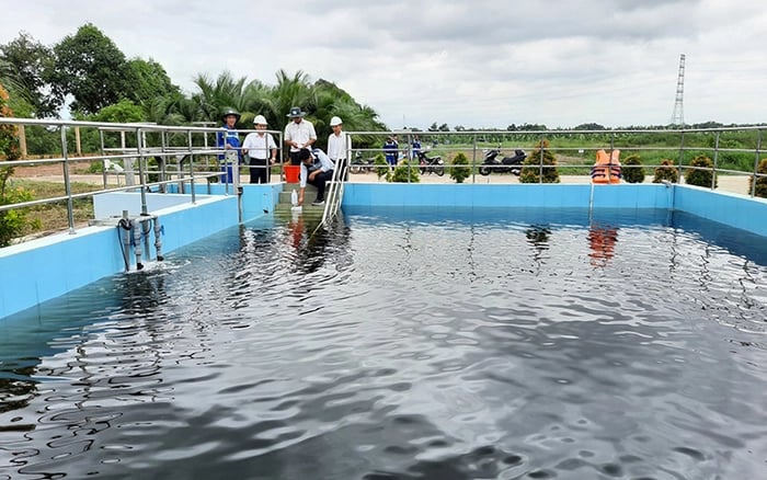 Bình Dương tăng cường quan trắc, ngăn ngừa ô nhiễm môi trường