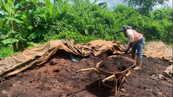 Nâng cao hiệu quả công tác xử lý chất thải trong sản xuất cà phê