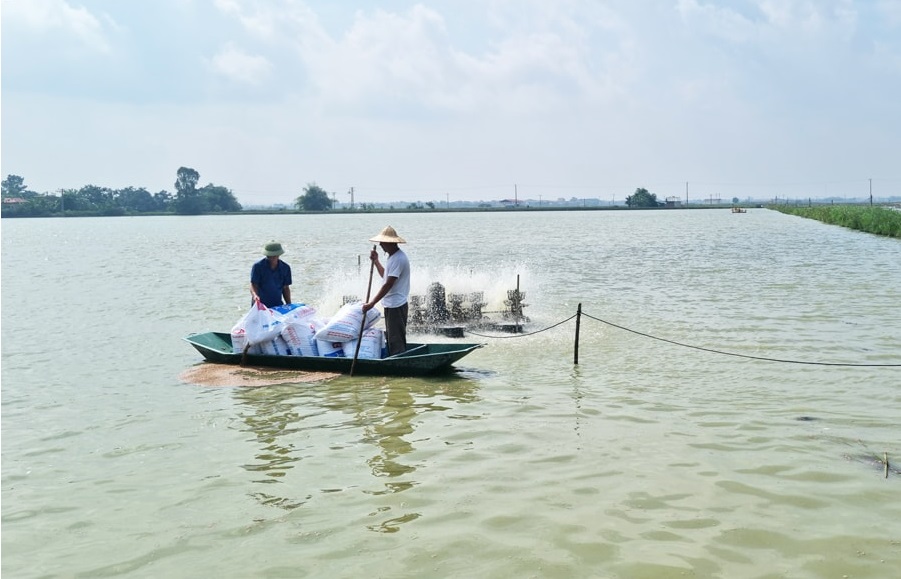 Hà Nội tăng cường quản lý 6 khu bảo vệ nguồn lợi thủy sản Hà Nội tăng cường quản lý 6 khu bảo vệ nguồn lợi thủy sản