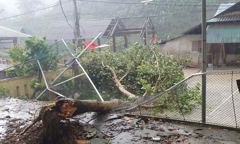 Chỉ trong quý I/2025, thiên tai gây thiệt hại hơn 116 tỷ đồng Chỉ trong quý I/2025, thiên tai gây thiệt hại hơn 116 tỷ đồng