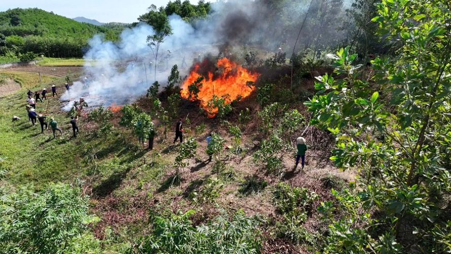 Bắc Giang ứng phó với nguy cơ cháy rừng cấp cực kỳ nguy hiểm Bắc Giang ứng phó với nguy cơ cháy rừng cấp cực kỳ nguy hiểm