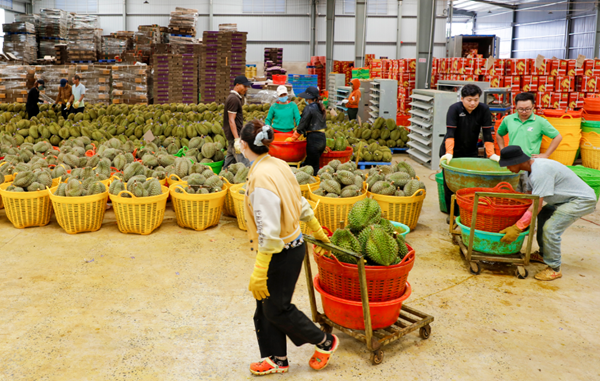 Kinh tế tư nhân - động lực quan trọng xây dựng nền kinh tế độc lập Kinh tế tư nhân - động lực quan trọng xây dựng nền kinh tế độc lập