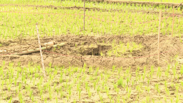 Sụt lún ảnh hưởng đến đời sống sinh hoạt và sản xuất của người dân Sụt lún ảnh hưởng đến đời sống sinh hoạt và sản xuất của người dân