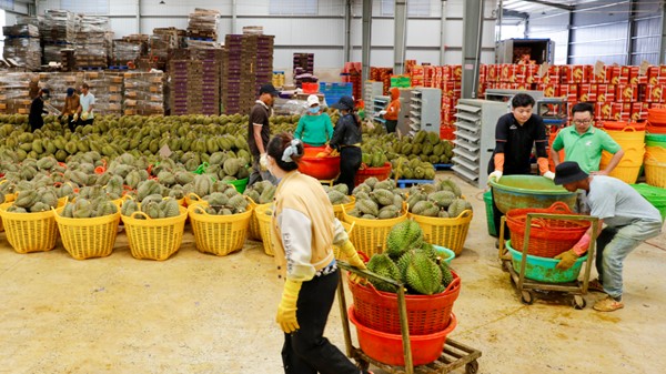 Kinh tế tư nhân - động lực quan trọng xây dựng nền kinh tế độc lập