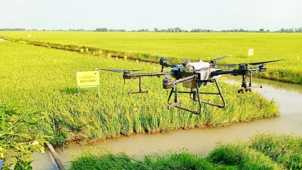 Bắc Giang quy định mức hỗ trợ bảo vệ, phát triển đất trồng lúa