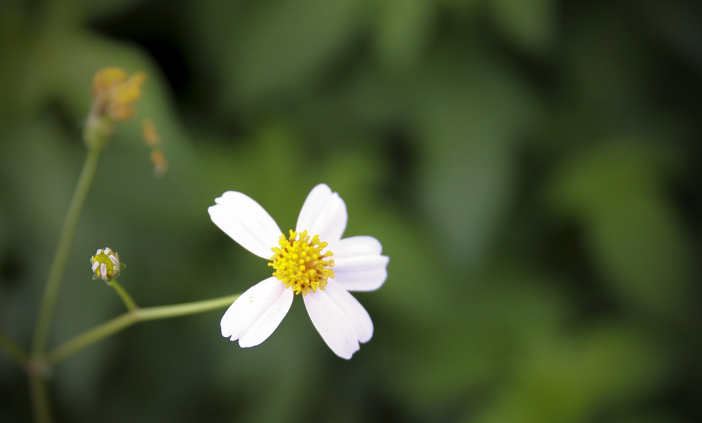 Tử vi vòng quay công nghệ ngày 17/4/2025: Tử vi vòng quay công nghệ ngày 17/4/2025: