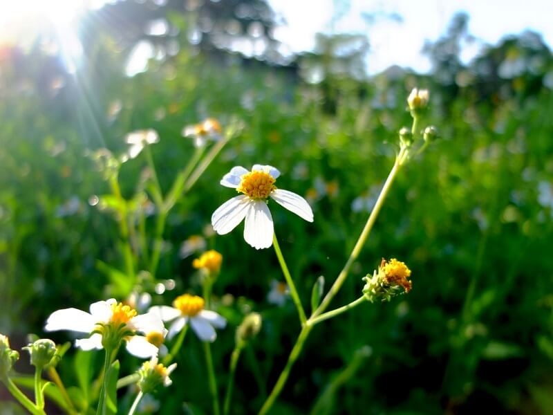 Tử vi vòng quay công nghệ ngày 17/4/2025: Tử vi vòng quay công nghệ ngày 17/4/2025: