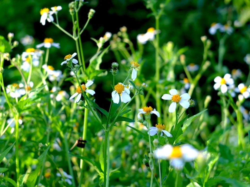 Tử vi vòng quay công nghệ ngày 17/4/2025: Tử vi vòng quay công nghệ ngày 17/4/2025: