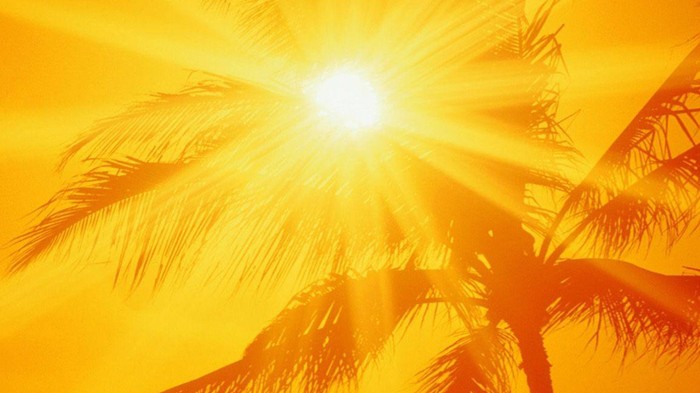 Nhu cầu sử dụng nhiên liệu hóa thạch có xu hướng gia tăng do nắng nóng