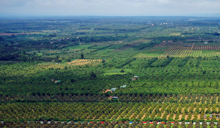 ‘Không thể có một nền nông nghiệp phát triển bền vững nếu tài nguyên thiên nhiên tiếp tục bị đe dọa’ ‘Không thể có một nền nông nghiệp phát triển bền vững nếu tài nguyên thiên nhiên tiếp tục bị đe dọa’