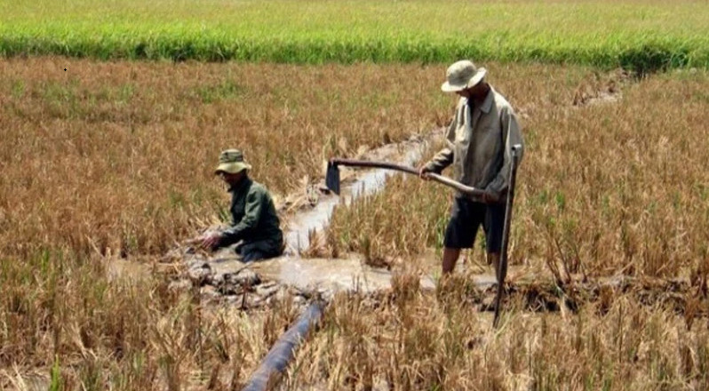 An Giang: Triển khai đồng bộ giải pháp thích ứng biến đổi khí hậu An Giang: Triển khai đồng bộ giải pháp thích ứng biến đổi khí hậu