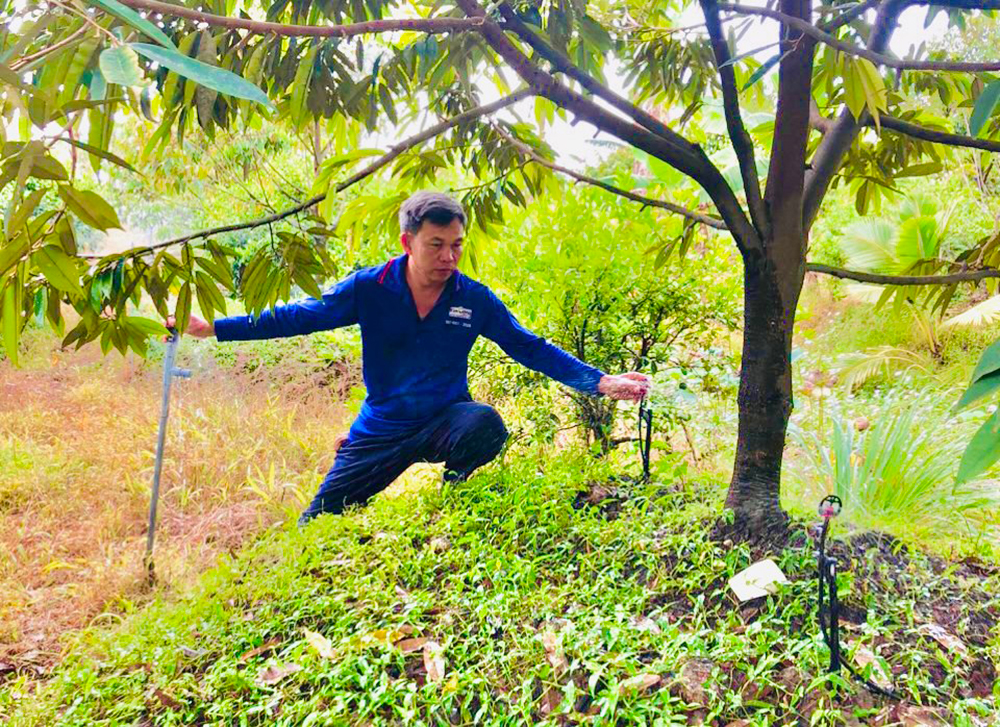 Phát huy vai trò của các công trình thuỷ lợi nhỏ Phát huy vai trò của các công trình thuỷ lợi nhỏ