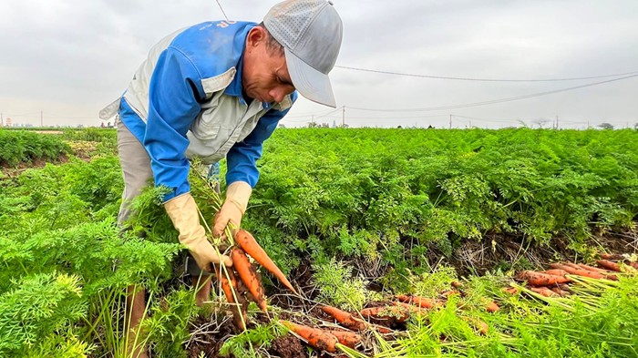 ‘Không thể có một nền nông nghiệp phát triển bền vững nếu tài nguyên thiên nhiên tiếp tục bị đe dọa’