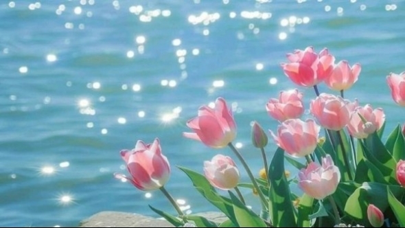 Tử vi vòng quay công nghệ ngày 22/4/2025: Tuổi Hợi công việc suôn sẻ, tuổi Mùi có thể gặp rắc rối