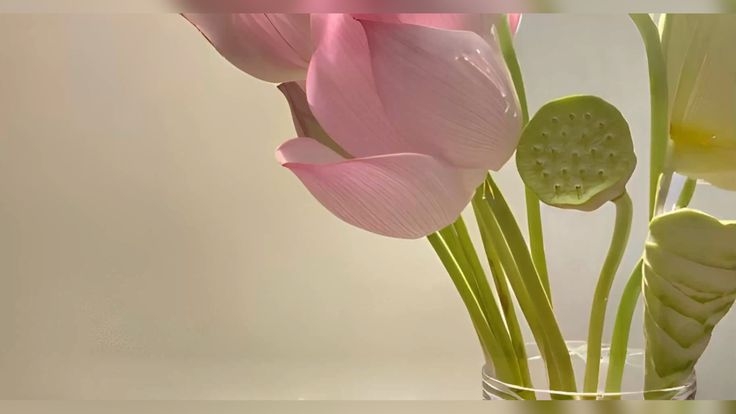 Tử vi vòng quay công nghệ ngày 23/4/2025: Tuổi Thìn gặp may mắn,  tuổi Mùi tiểu nhân quấy phá