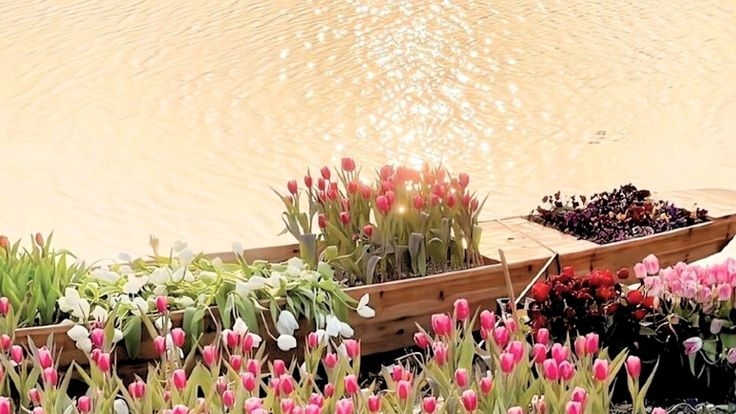 Tử vi vòng quay công nghệ ngày 24/4/2025: Tuổi Hợi quý nhân nâng đỡ, tuổi Mão gặp may mắn Tử vi vòng quay công nghệ ngày 24/4/2025: Tuổi Hợi quý nhân nâng đỡ, tuổi Mão gặp may mắn