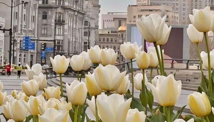 Tử vi vòng quay công nghệ ngày 24/4/2025: Tuổi Hợi quý nhân nâng đỡ, tuổi Mão gặp may mắn Tử vi vòng quay công nghệ ngày 24/4/2025: Tuổi Hợi quý nhân nâng đỡ, tuổi Mão gặp may mắn