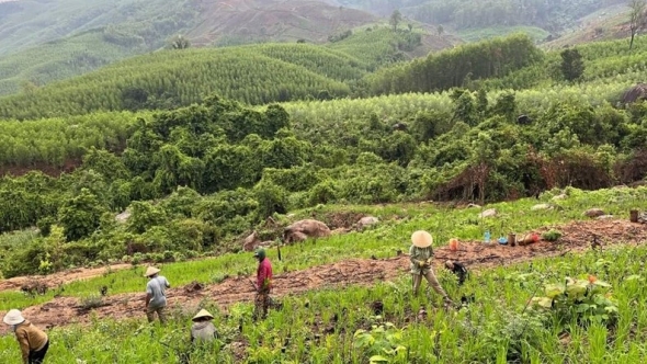 Ðiện Biên nâng cao hiệu quả công tác giao đất, giao rừng