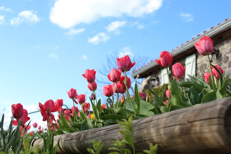 Tử vi vòng quay công nghệ ngày 26/4/2025: Tử vi vòng quay công nghệ ngày 26/4/2025: