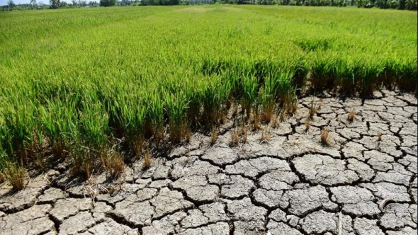 Nâng cao năng lực thích ứng biến đổi khí hậu vùng Đồng bằng sông Cửu Long