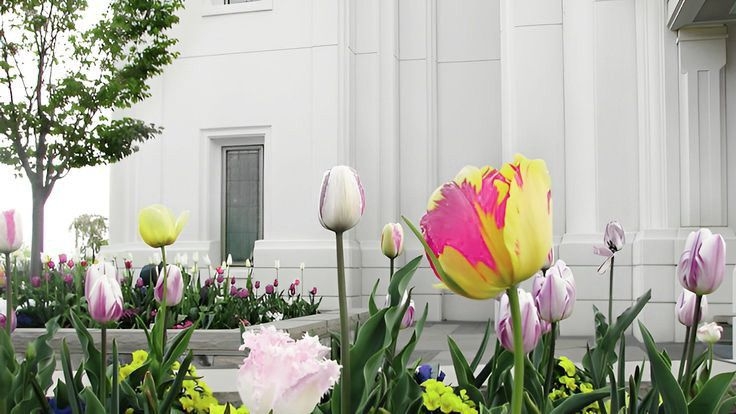 Tử vi vòng quay công nghệ ngày 27/4/2025: Tuổi Hợi thành công, tuổi Thìn chú ý sức khỏe Tử vi vòng quay công nghệ ngày 27/4/2025: Tuổi Hợi thành công, tuổi Thìn chú ý sức khỏe