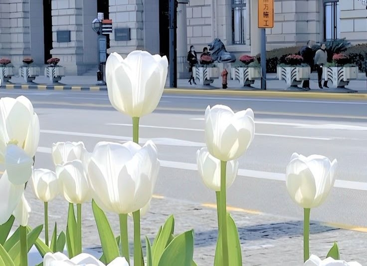 Tử vi vòng quay công nghệ ngày 27/4/2025: Tuổi Hợi thành công, tuổi Thìn chú ý sức khỏe Tử vi vòng quay công nghệ ngày 27/4/2025: Tuổi Hợi thành công, tuổi Thìn chú ý sức khỏe