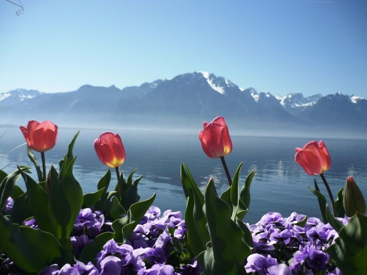 Tử vi vòng quay công nghệ ngày 27/4/2025: Tuổi Hợi thành công, tuổi Thìn chú ý sức khỏe Tử vi vòng quay công nghệ ngày 27/4/2025: Tuổi Hợi thành công, tuổi Thìn chú ý sức khỏe