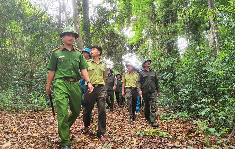 Siết chặt quản lý khoáng sản gắn với bảo vệ rừng Siết chặt quản lý khoáng sản gắn với bảo vệ rừng
