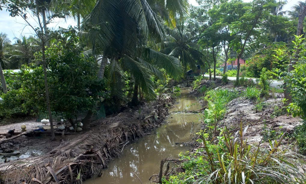 Chủ động phòng, chống xâm nhập mặn bảo vệ mùa vụ Chủ động phòng, chống xâm nhập mặn bảo vệ mùa vụ