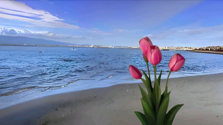 Tử vi vòng quay công nghệ ngày 29/4/2025: Tuổi Hợi tài lộc rủng rỉnh, tuổi Tỵ không may mắn Tử vi vòng quay công nghệ ngày 29/4/2025: Tuổi Hợi tài lộc rủng rỉnh, tuổi Tỵ không may mắn