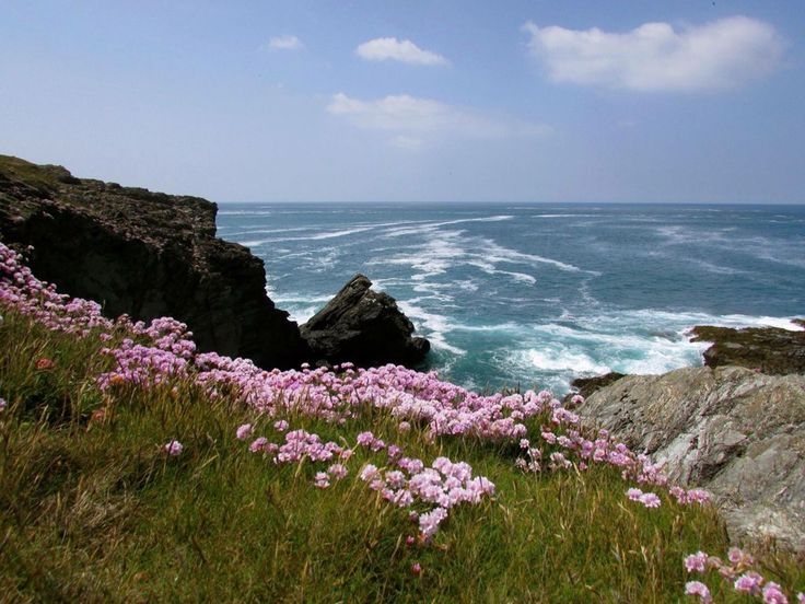 Tử vi vòng quay công nghệ ngày 30/4/2025: Tuổi Hợi thay đổi tích cực, tuổi Ngọ đối mặt khó khăn Tử vi vòng quay công nghệ ngày 30/4/2025: Tuổi Hợi thay đổi tích cực, tuổi Ngọ đối mặt khó khăn